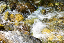 명지산계곡스테이