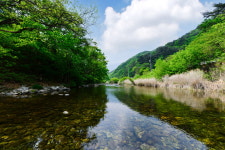 명지산계곡스테이