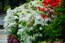 명지산계곡스테이