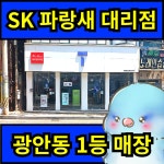 SK텔레콤 파랑새대리점 본점
