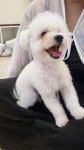 제이그루밍
