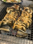 측백장어