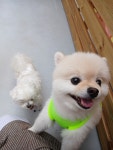 슬기로운 멍생활
