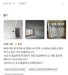 도배광