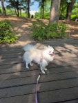 슬기로운 멍생활