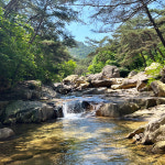 청춘민박
