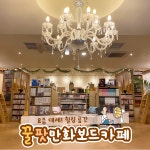 꿀팟만화보드카페