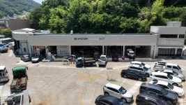 블루핸즈 연초현대서비스