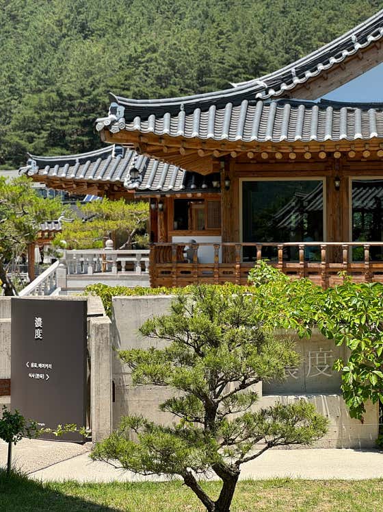 농도 사진