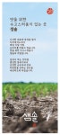 샘솔식당