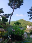 운봉의뜰
