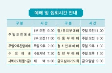 단비교회