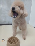 슬기로운 멍생활