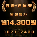 SK 티브로드 한빛방송 새한정보통신