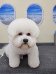 구루미