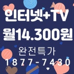 SK 티브로드 한빛방송 새한정보통신