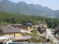 제천 산야초마을