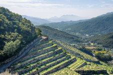 석계공원묘원