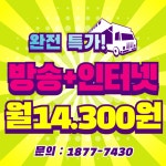 SK 티브로드 한빛방송 새한정보통신