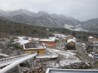 제천 산야초마을