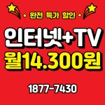 SK 티브로드 한빛방송 새한정보통신