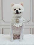 몽끌림