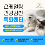 잠실 스무살의꿈동물병원