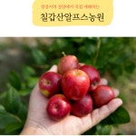 칠갑산알프스농원