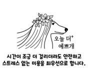 오늘더예쁘개