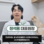 소나무동물메디컬센터