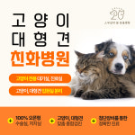 잠실 스무살의꿈동물병원
