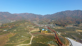 한밤실 마을 펜션