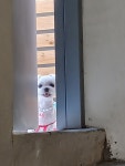 슬기로운 멍생활