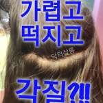 닥터살롱 The어려지는 동안샵