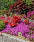 삼태기캠핑장