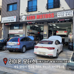 라이온 모터스