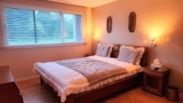 알지니포레스트