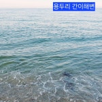 월포가