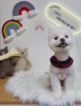럽독 LUVDOG