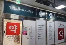 나무약국