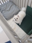 멍묭실