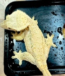 예쁜동물나라수족관 대전점