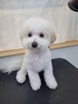 멍묭실