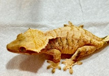 예쁜동물나라수족관 대전점