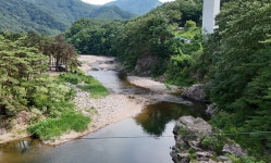 숲과계곡속으로