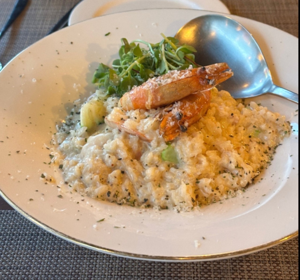 Special Risotto