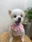 뭉치, 그루밍