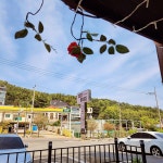코지하우스 포항남구점