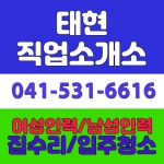 태현직업소개소