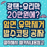 스타스팀손세차장 전주본점